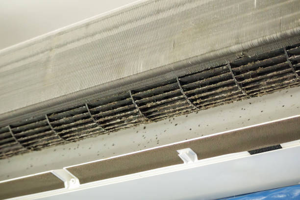 Best HVAC Duct Inspection Services  in Ashwaubenon, WI
